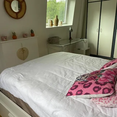 Dans Maison De Centre 게스트하우스 *